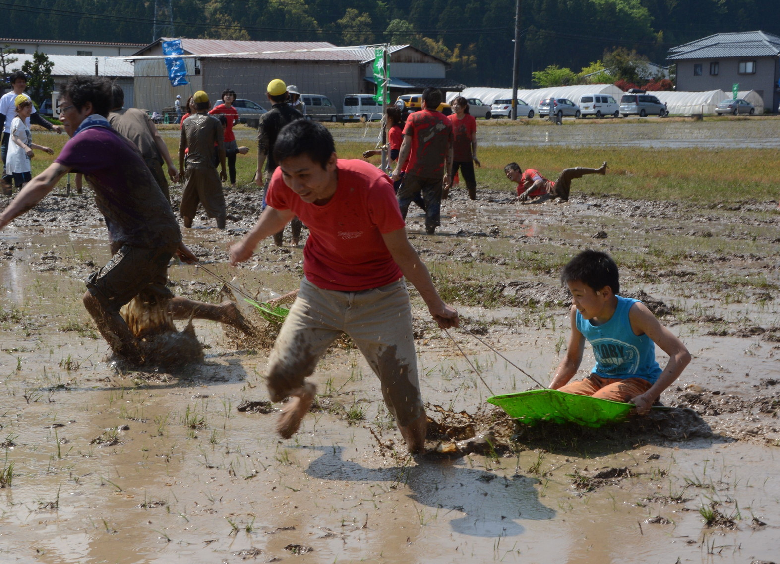 鯖江かたかみ春田んぼ