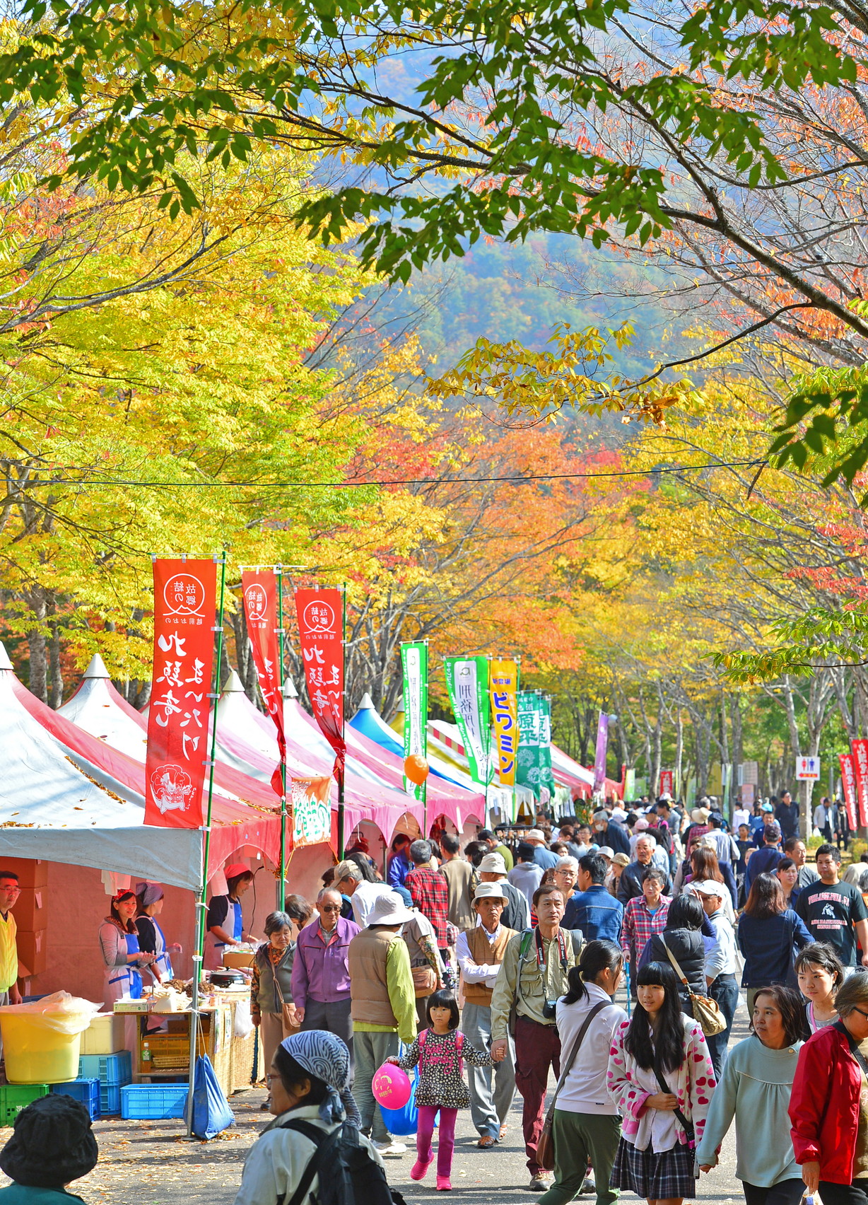 九頭竜紅葉まつり