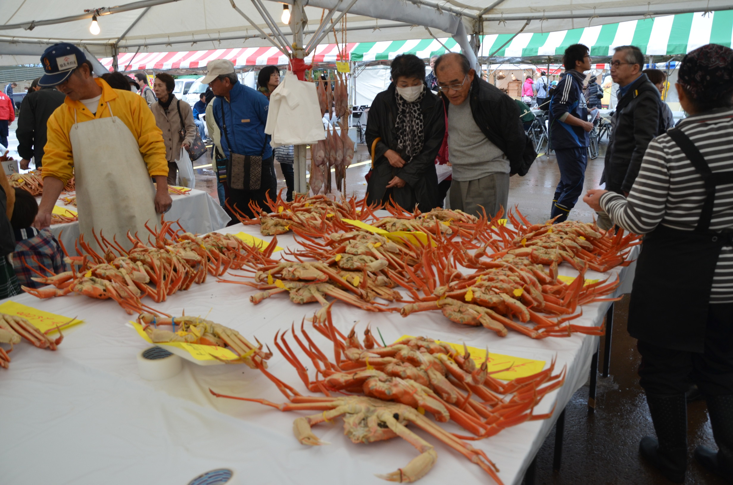 三国温泉カニまつり