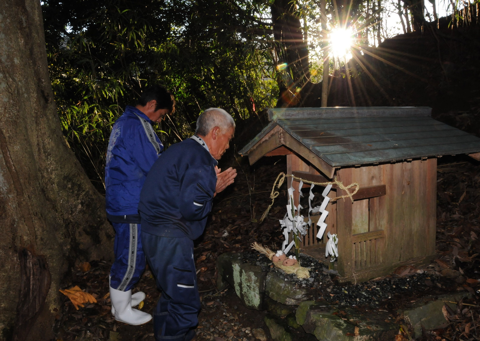 大島半島のニソの杜の習俗