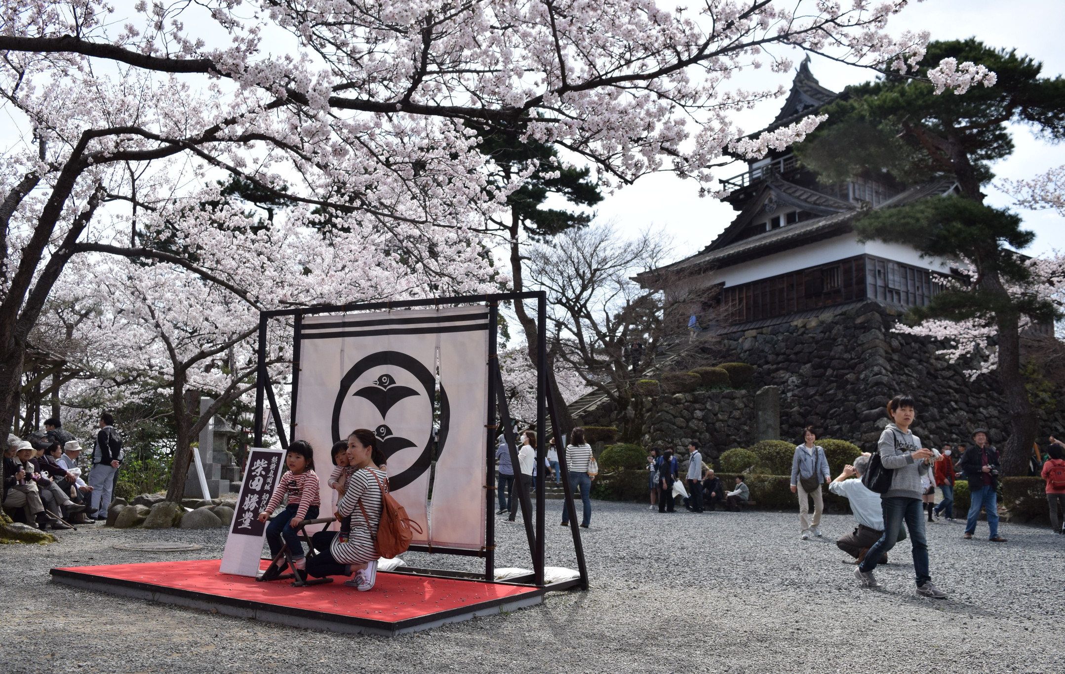 丸岡城桜まつり