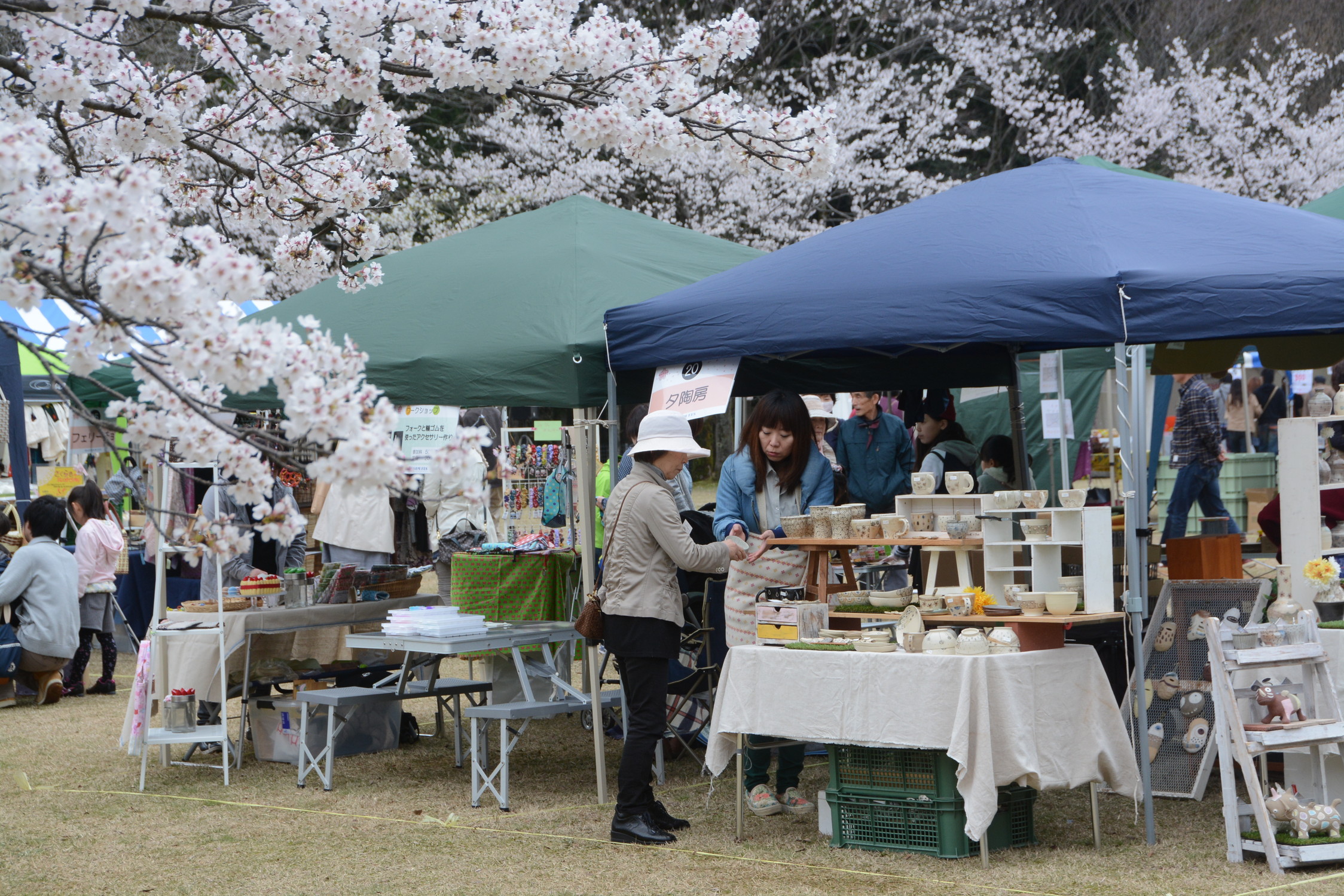 越前陶芸村しだれ桜まつり