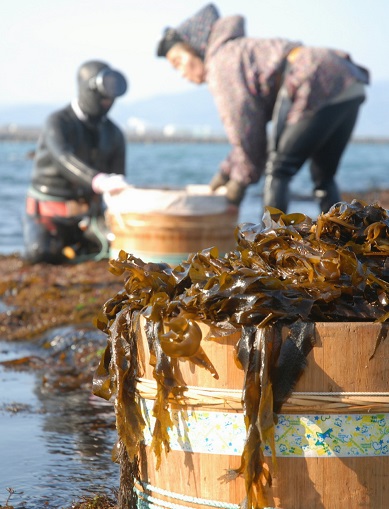 ご存じですか？ 福井のこんな食の風習【4～6月】
