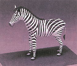 �摜�F���܂��܁i��6���܁j