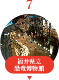 福井県立恐竜博物館